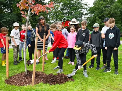 Tree-Planting.jpg