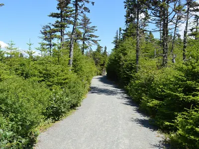trails at Rotary Sunshine Park