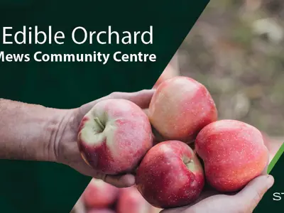 GR_New-Orchard---Mews---News-1200x600.jpg