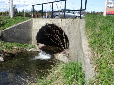 IMG-Gleneyre-Culvert-Being-Replaced.png