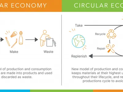 IMG_CEM-week-1_Linear-vs-Circular.png